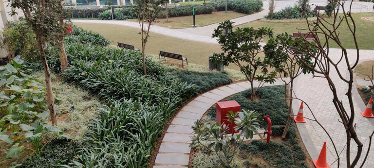 Balcony 3 in 3 Bedroom Apartment at DLF Crest Gurugram